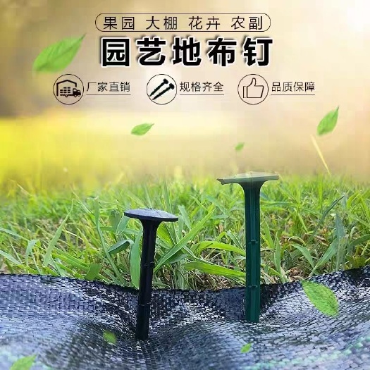 德州 防草布地钉 塑料布钉大棚果园地布钉茶园除草布黑色地钉固定地钉