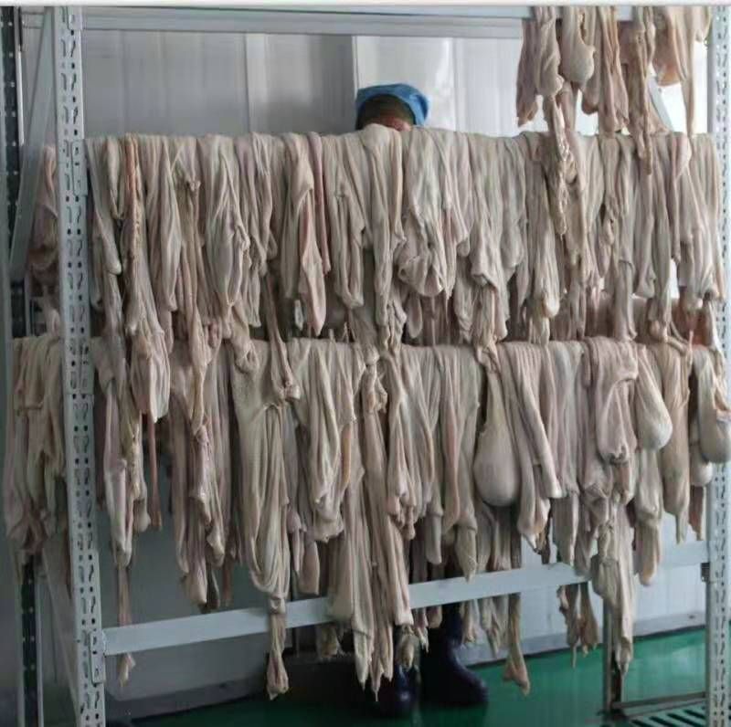 【羊净肚】当地绵羊的生的免洗！一手货源产地直发！