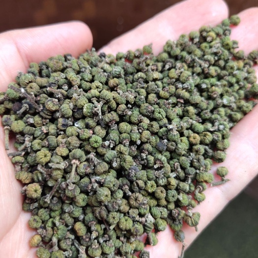 武冈市山茱萸  大量江西广西吴茱萸中花出售中，地产直销，颜色漂亮，非诚勿扰