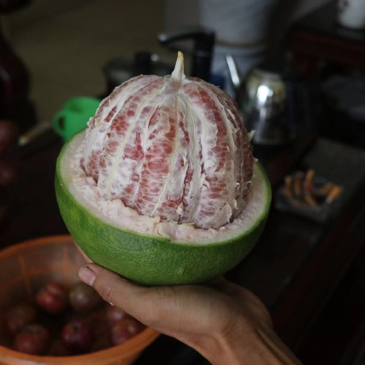 灵山县泰国青柚苗  越南青皮柚 嫁接苗 带土球发货 易管理  产量