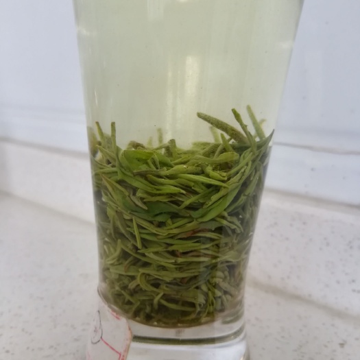 信阳毛尖茶  2024新茶上市信阳毛尖