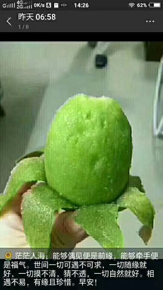  谁要猕猴桃大量出售