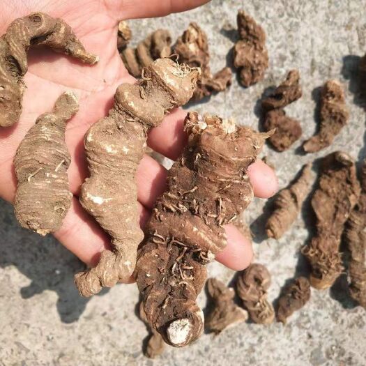 连南县 七叶一枝花(重楼)