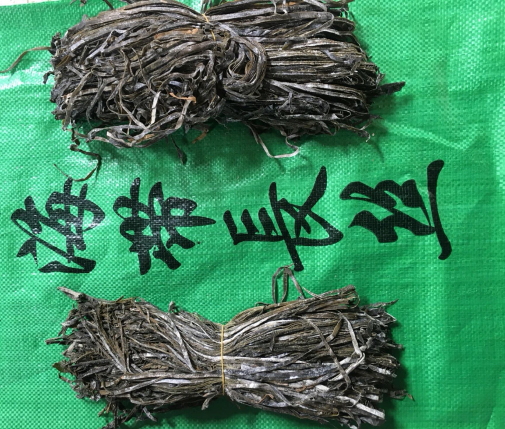 鲜海带  供应批发加工福建干海带长丝 回泡率口感好回头率高