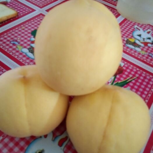礼泉县黄金蜜桃 希里黄金（黄金密）
