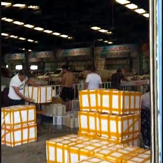 潜江市 潜江虾谷小龙虾批发，各种规格