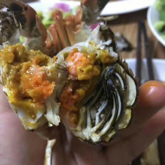 盘锦 纯盘锦河蟹，自家稻田河蟹。黄满蟹肥，公蟹母蟹大小都有。