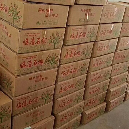西安 临潼石榴物美价廉