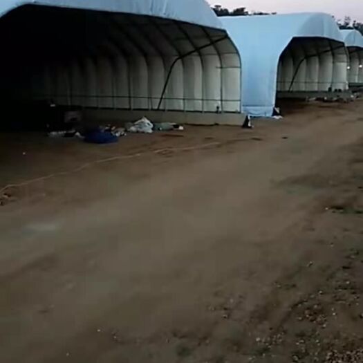 沭阳县 养殖大棚
