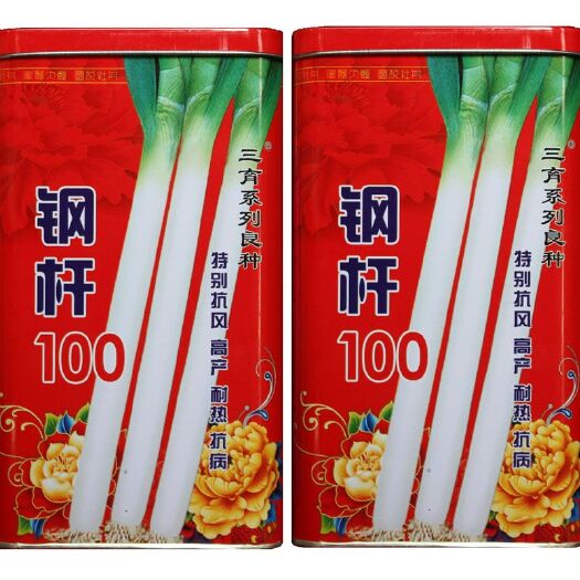 長白大蔥種子 正宗章丘大蔥鋼桿98鋼桿100桿硬蔥白長產(chǎn)量高