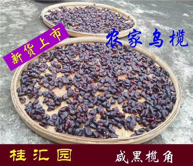 黑榄 9g以上