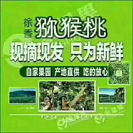 眉县 陕西眉县徐香猕猴桃VC之王，新鲜水果批发5斤10斤