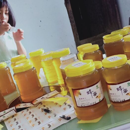 正安县百花蜜 药花蜜出来了，两个女儿都忙得不可开胶