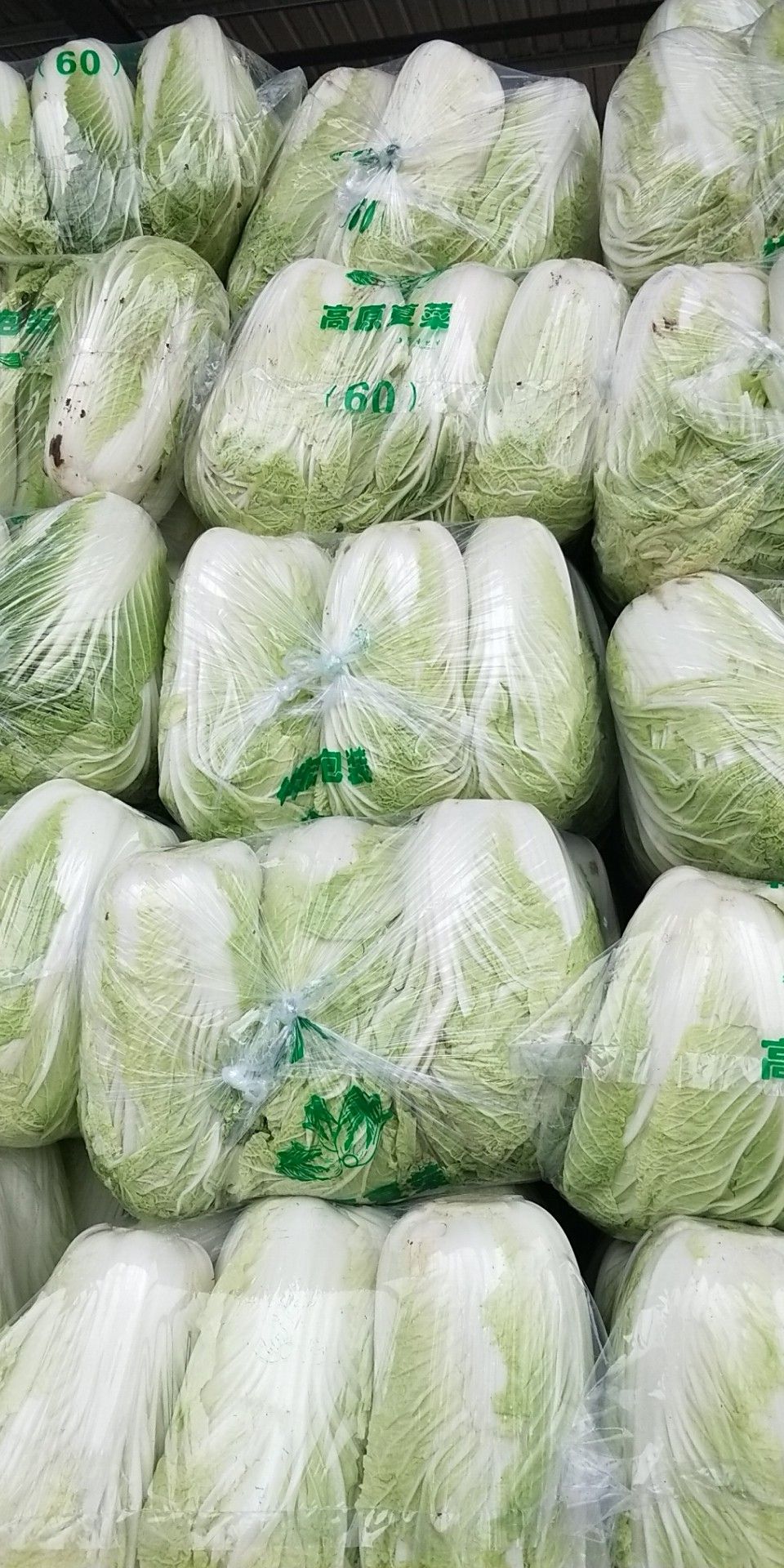 黄心大白菜 3~6斤 净菜