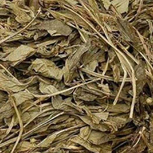 桂林香灵草 高海拔种植，还原野生的香味，种植时间越长，香味越浓！