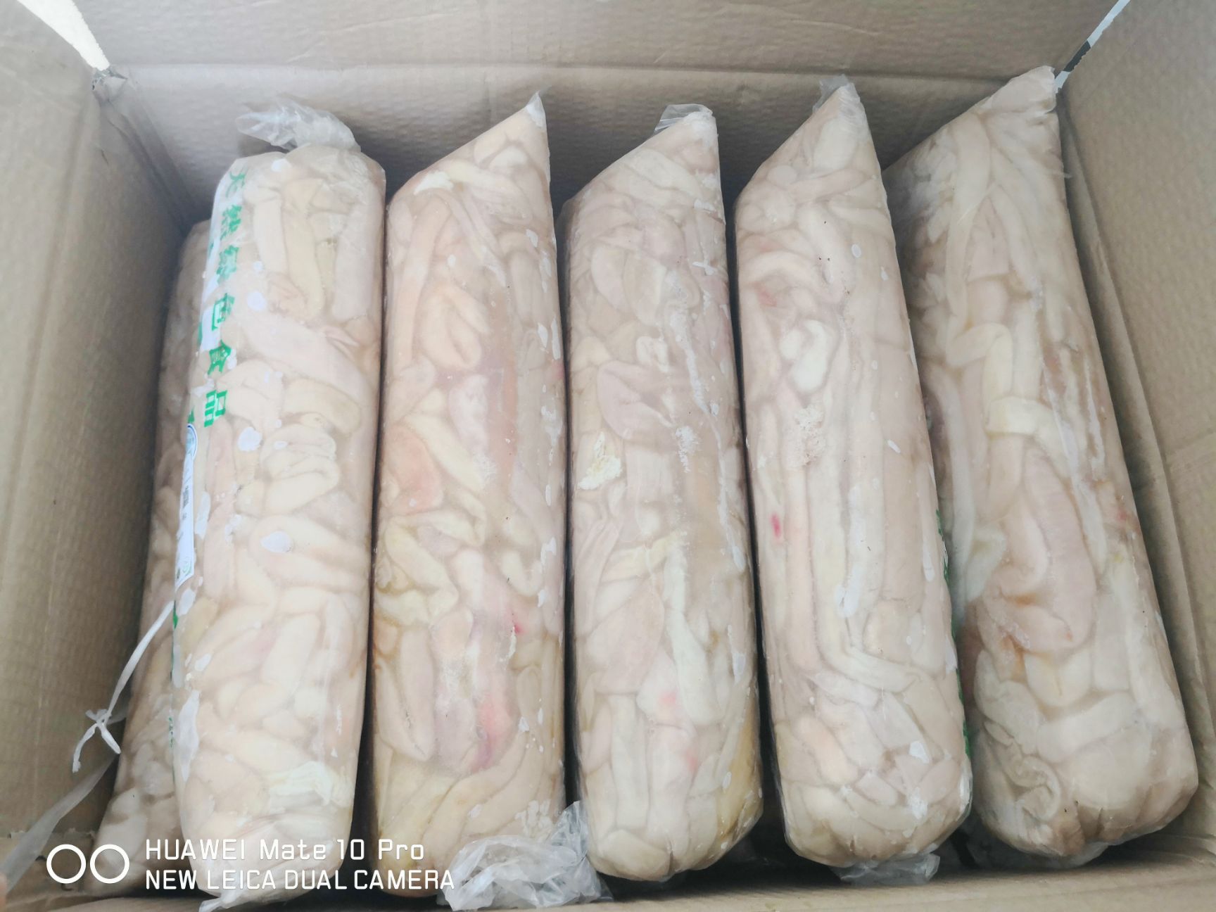 锡林浩特草原羊肠 干净，直接下锅，羔羊肥肠