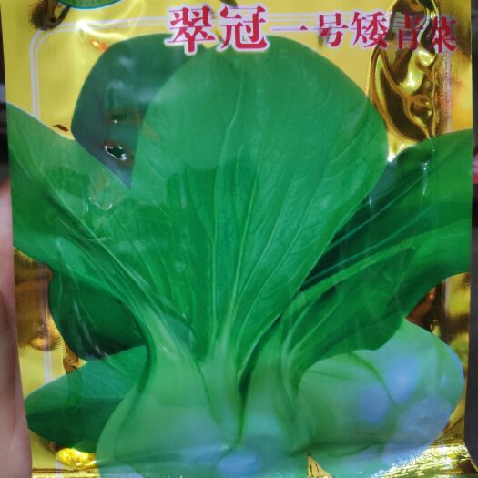 青梗菜种子 翠冠一号矮青菜
