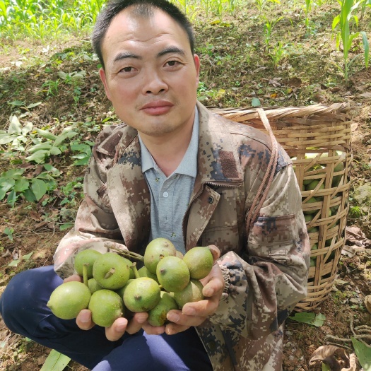 昌宁县 云南高新鲜核桃