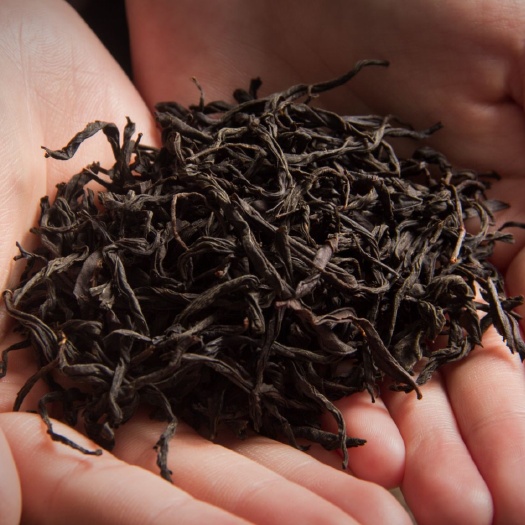 有机红茶 2019 春茶  雨前采摘 工厂直销  价格优惠