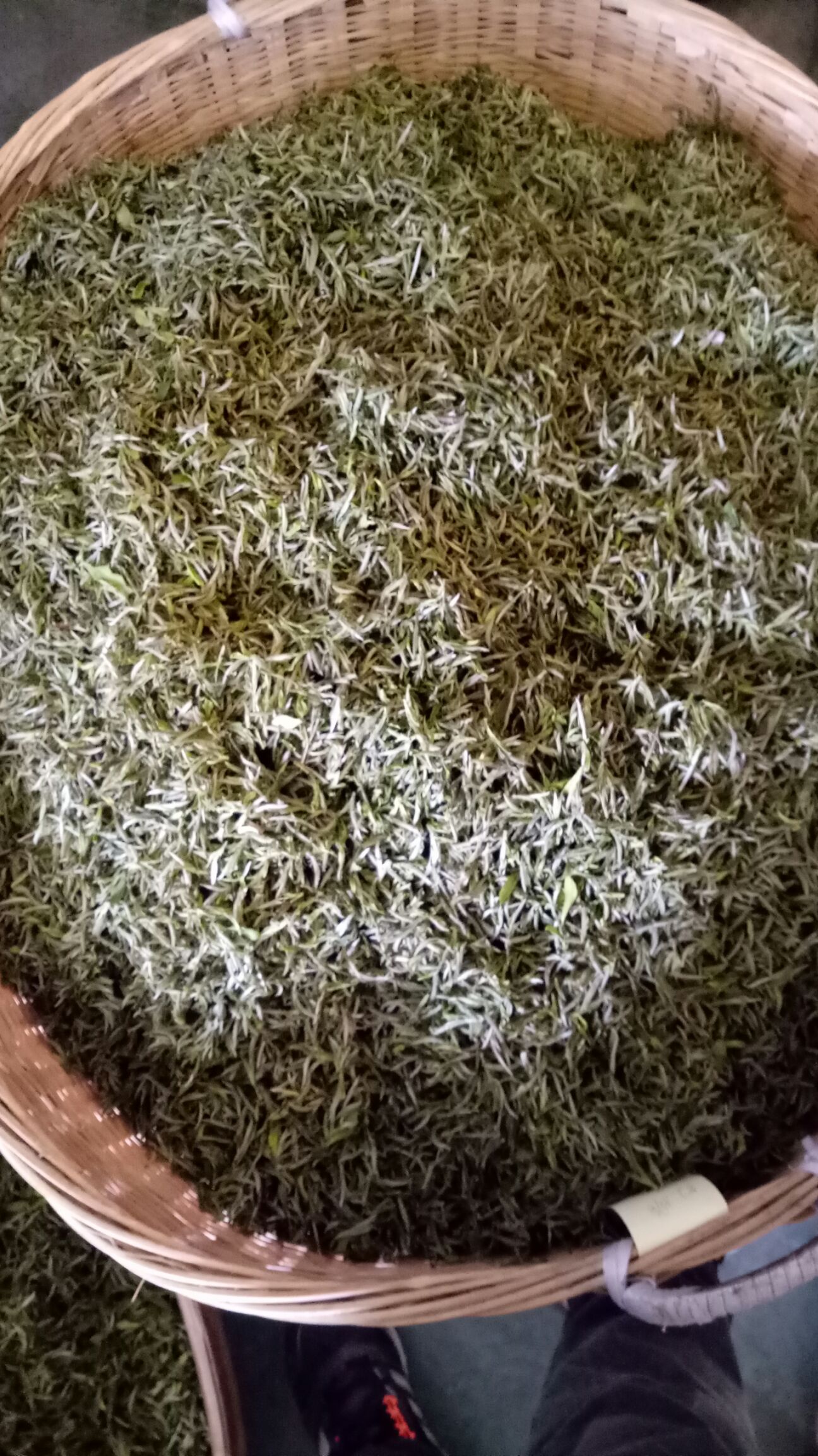 福鼎白茶 一级 礼盒装