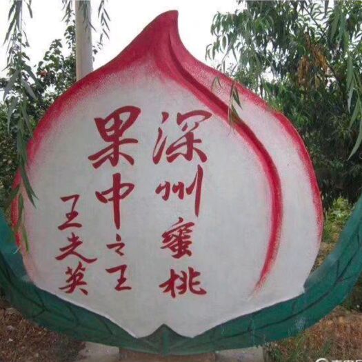 深州市深州蜜桃 70mm以上