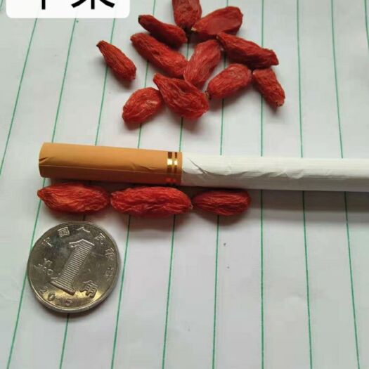 靖远县 农家自产红枸杞  中果