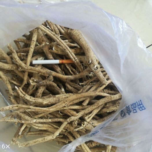 呼伦贝尔白鲜皮 纯