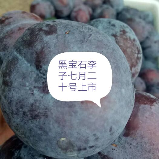 内乡县黑宝石李子，果个大口感好，甜度高耐运输，欢迎采购，提供胶框
