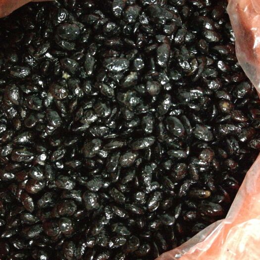 合浦县 农家小黑豆豆豉，没做过酱油的高级豆豉