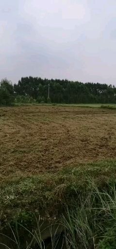 博罗县水田 合作或者入股