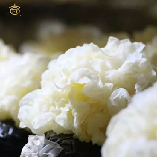 古田县 古田县是"中国食用菌之都"、"银耳之乡"，