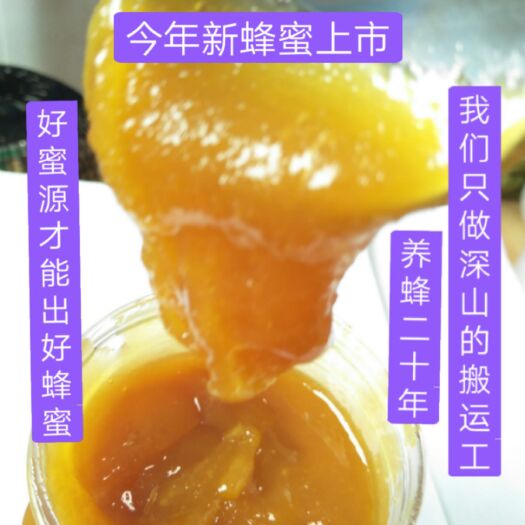 南江县圆桶高浓度土蜂蜜  四川光雾山农家自产自销秋天取 一年取一次