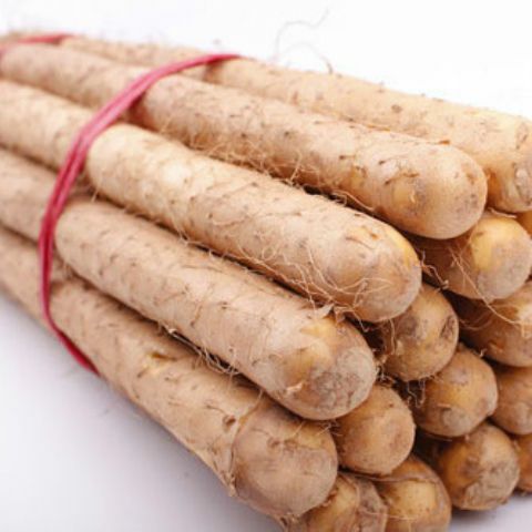  铁棍山药种子 正宗山药豆淮山种子 高产蔬菜庭院种西施山药种子