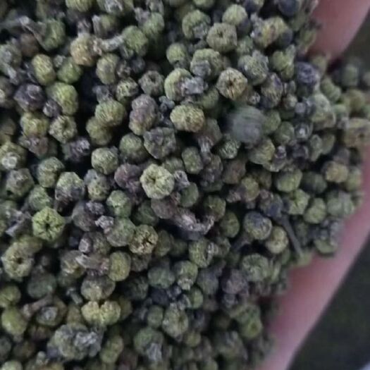 河池 吴茱萸干货