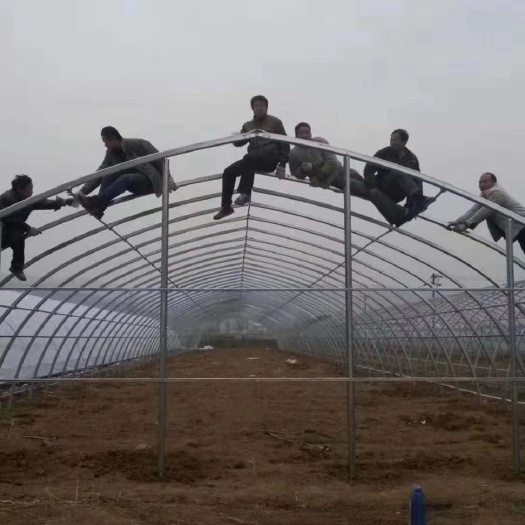 涟水县蔬菜大棚 价格实惠，品质保证。一次生意，终生朋友！