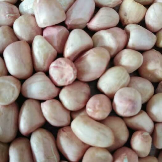 正阳县小花生 2019新出，质量好，粒粒饱满商超