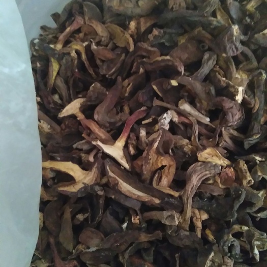 白河县黑牛肝菌