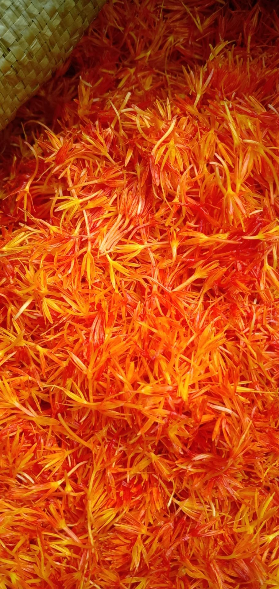 农产品批发供应商苏青云 - 惠农网电脑版