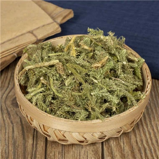 伸筋草 正品保证 中药材 包邮