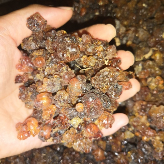 襄樊野生桃胶 统货便宜卖