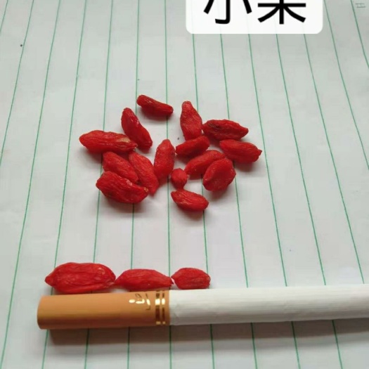 靖远县 农家自产红枸杞  小果