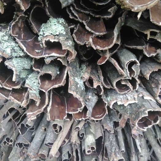 略阳县杜仲皮秦岭农家天然种植又名丝绵皮干货壮腰强肾泡酒料5斤起邮