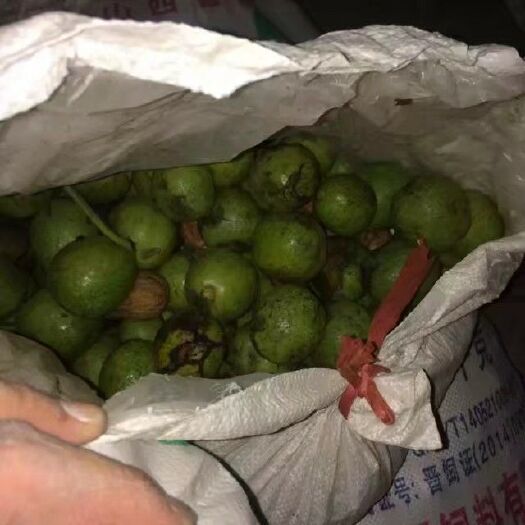 晋城 山西青皮核桃