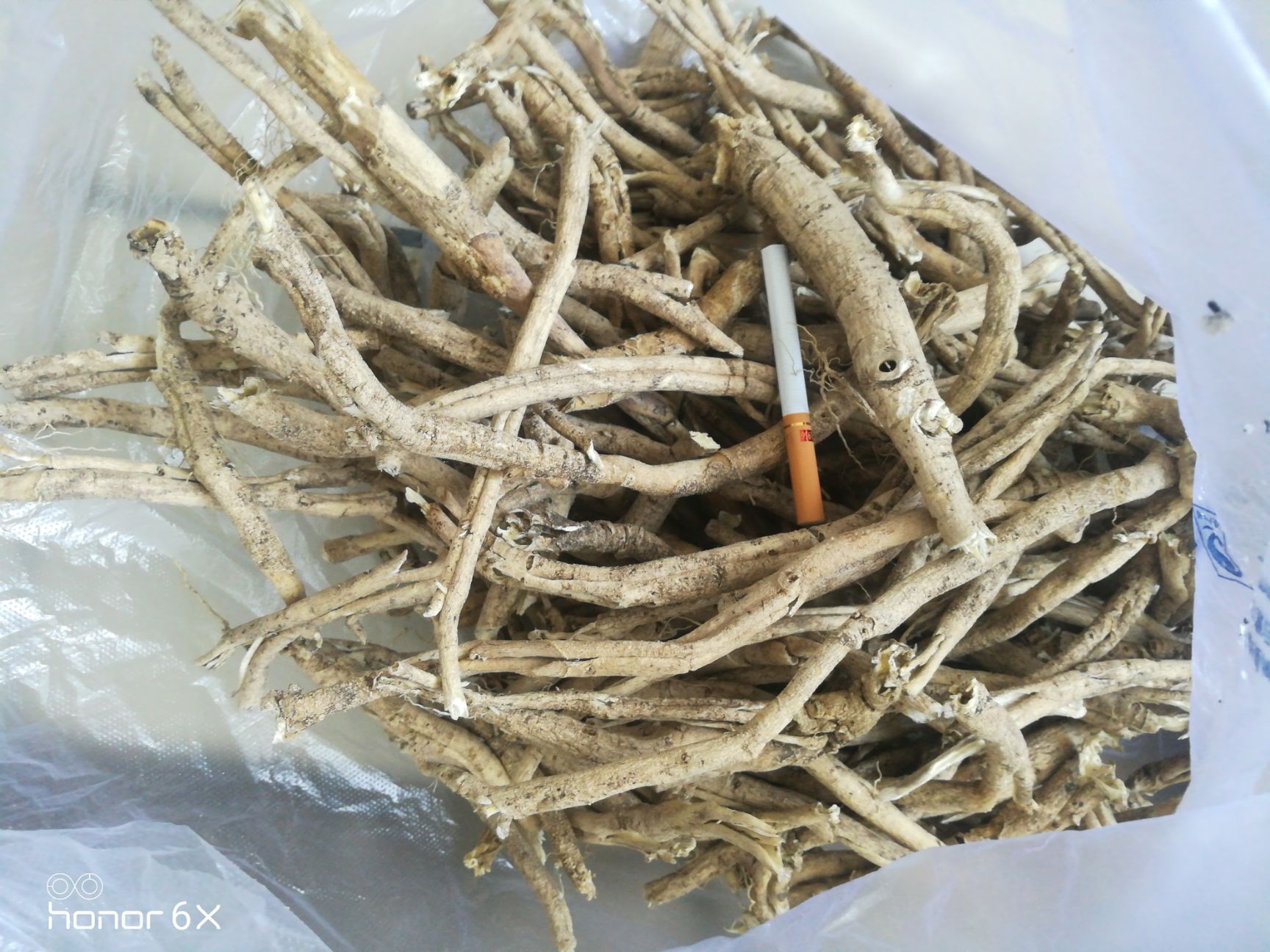 白鲜皮 存