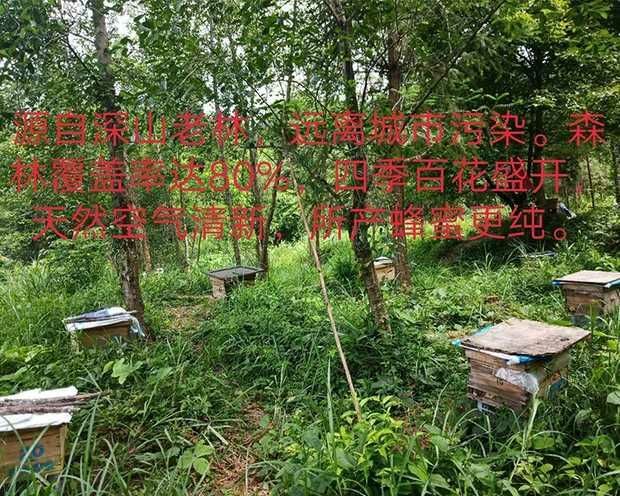 信丰县 赣南天然中蜂蜂蜜