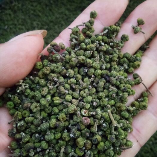 邻水县 吴茱萸干品