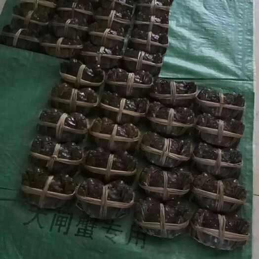 泗洪县 大大大闸蟹
