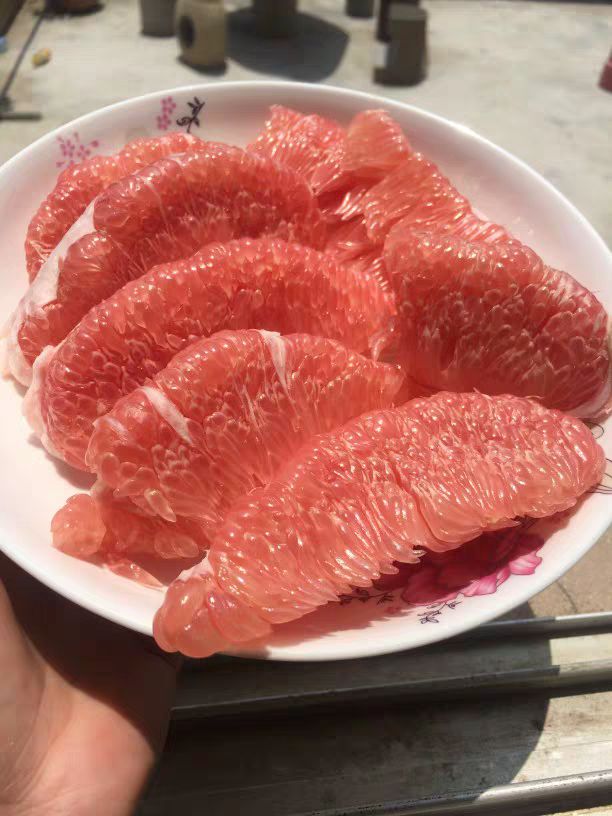  梅州蜜柚