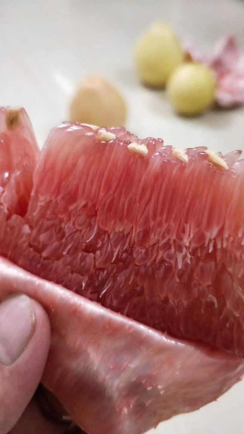  梅州蜜柚