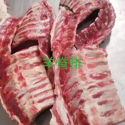 献县羊排 腰脊排